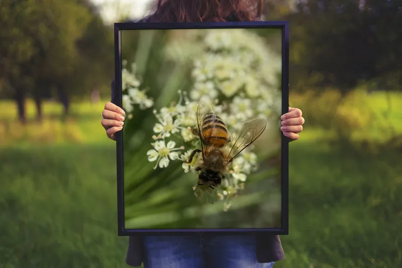 Frame Mockup