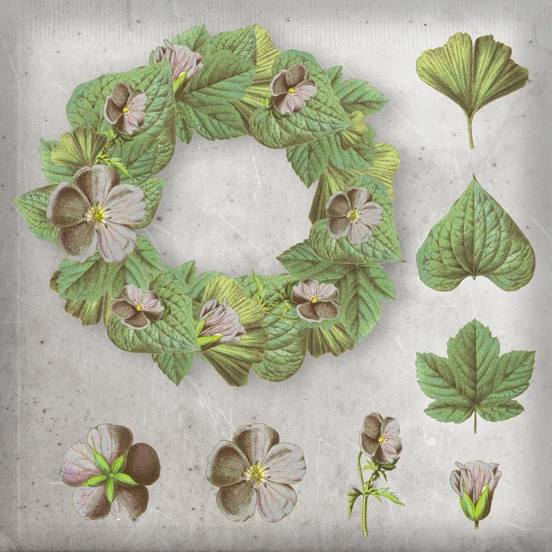Free Flowers PSD