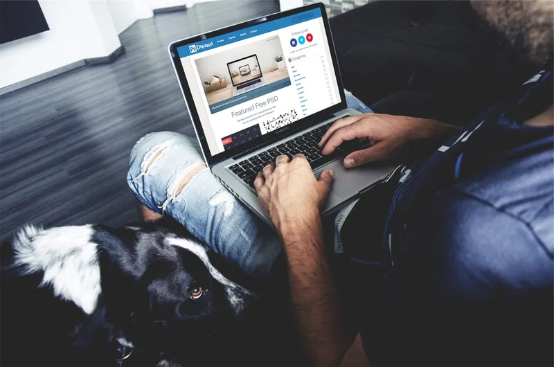 On the Couch with a Laptop