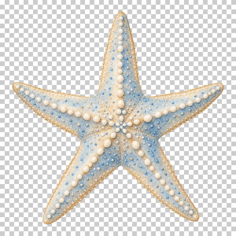 A five-armed watercolor starfish with a softly textured blue and beige surface.