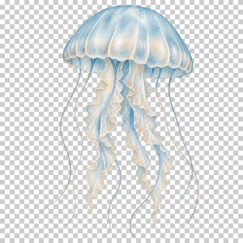 A pale blue watercolor jellyfish with a rounded bell and trailing tentacles.
