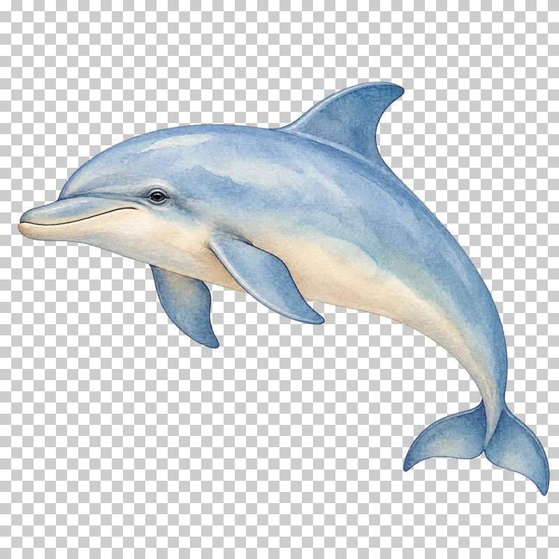 A watercolor dolphin with a curved body, pointed snout and soft blue shading.