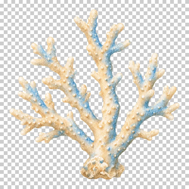 A branching watercolor coral with fine textured tips in soft coastal colors.