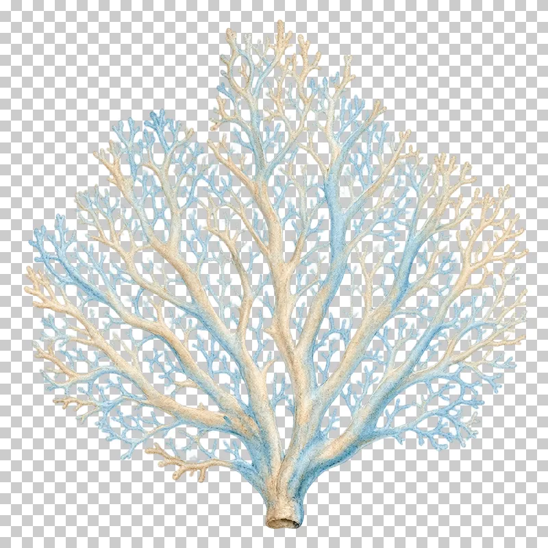 A delicate watercolor sea fan coral with an open network of slender branches.