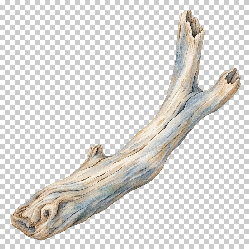 A weathered piece of driftwood with sandy beige watercolor grain.