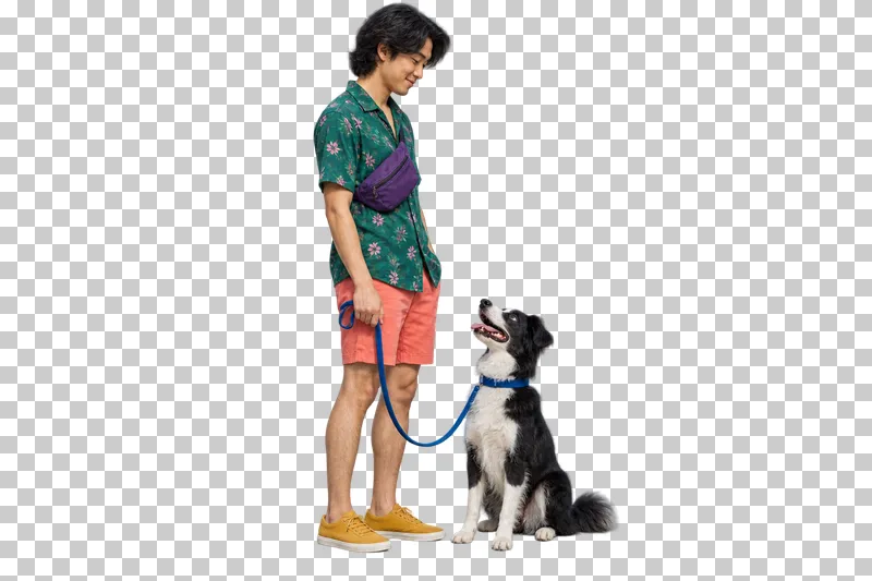 A man in an emerald botanical-print shirt and coral shorts pausing beside a dog on a cobalt leash.