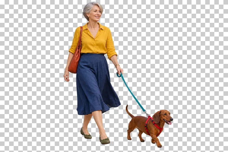 A silver-haired woman in a saffron blouse and indigo skirt walking a dachshund in a red harness.