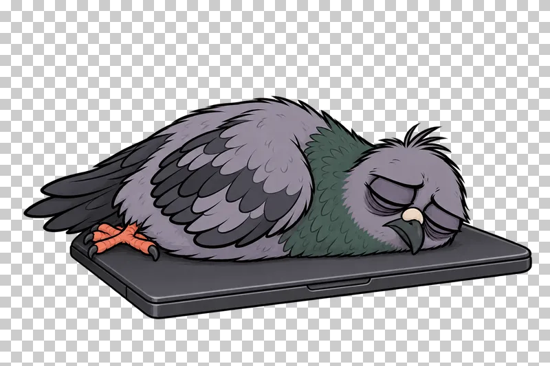 A pigeon naps with closed eyes on a closed charcoal laptop.