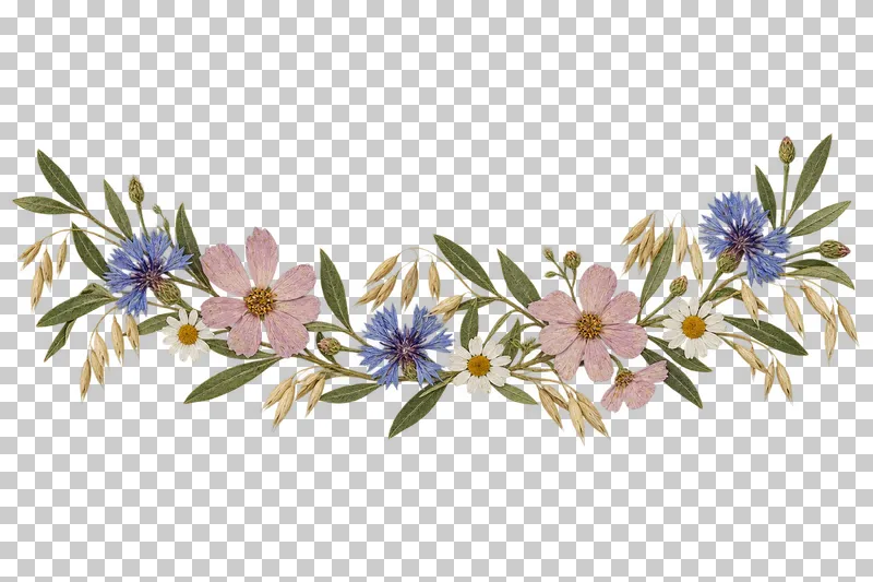 A horizontal pressed botanical garland of blue cornflowers, pink cosmos, white chamomile, olive leaves and oat stems in a shallow arc with space above and below.