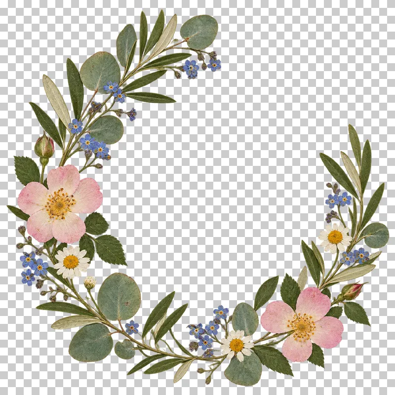 An open pressed botanical wreath of olive and eucalyptus leaves, pink roses, blue forget-me-nots and white chamomile with an empty center and an opening at the upper right.