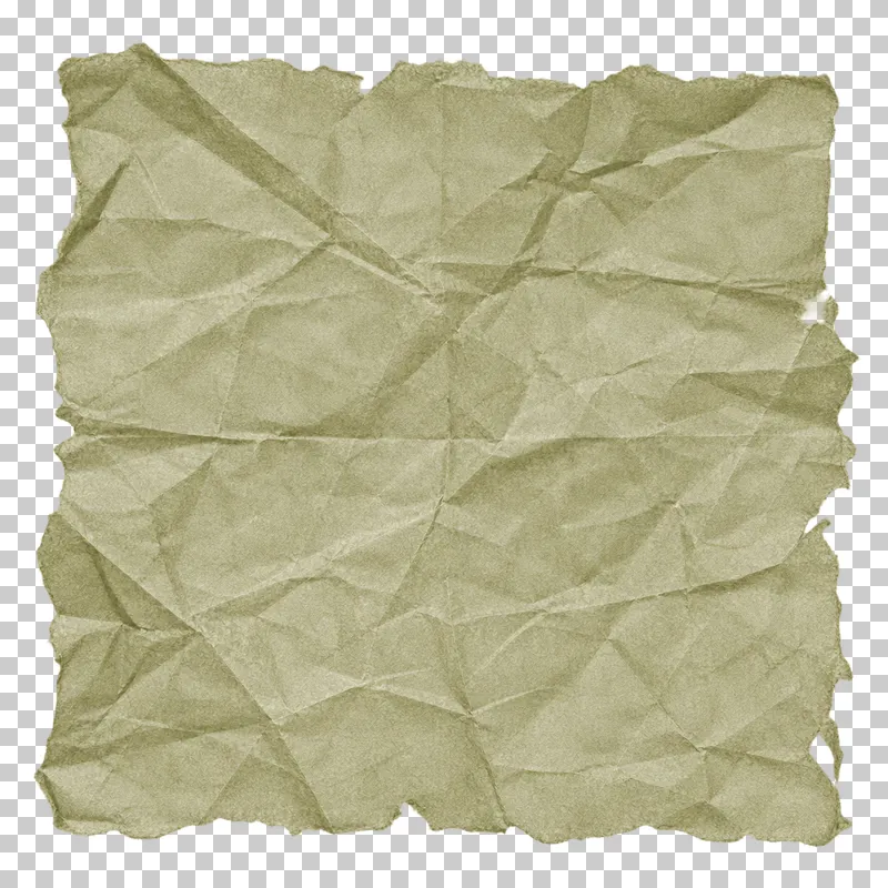 Crumpled square of thin muted olive tissue, viewed directly from above.