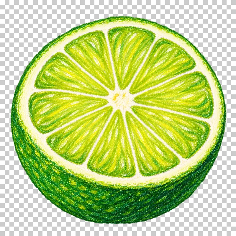 A lime half with yellow-green segments, cream membranes and dark green peel.