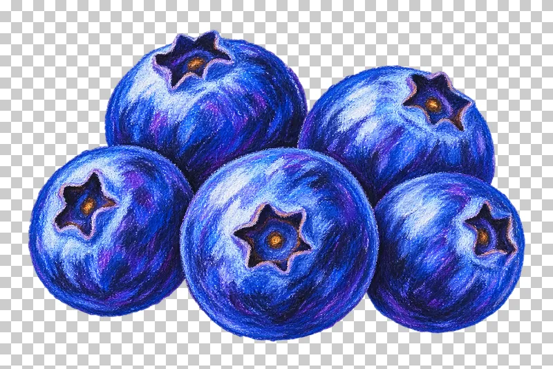 Five blue blueberries in a compact cluster with dark star-shaped blossom crowns.