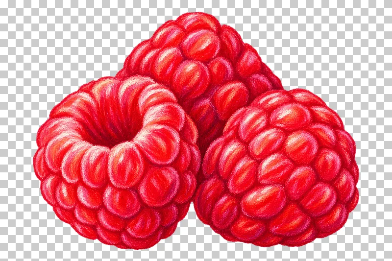 Three red raspberries with rounded drupelets, including one facing its hollow core forward.