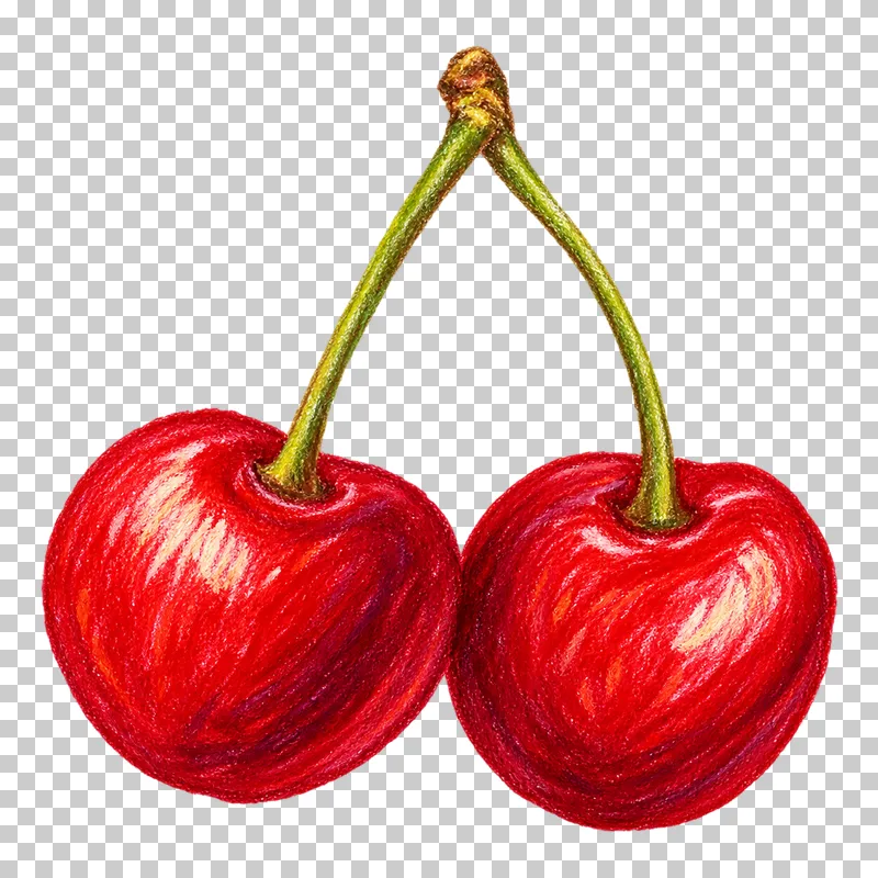 Two red cherries joined by slender green-brown stems.