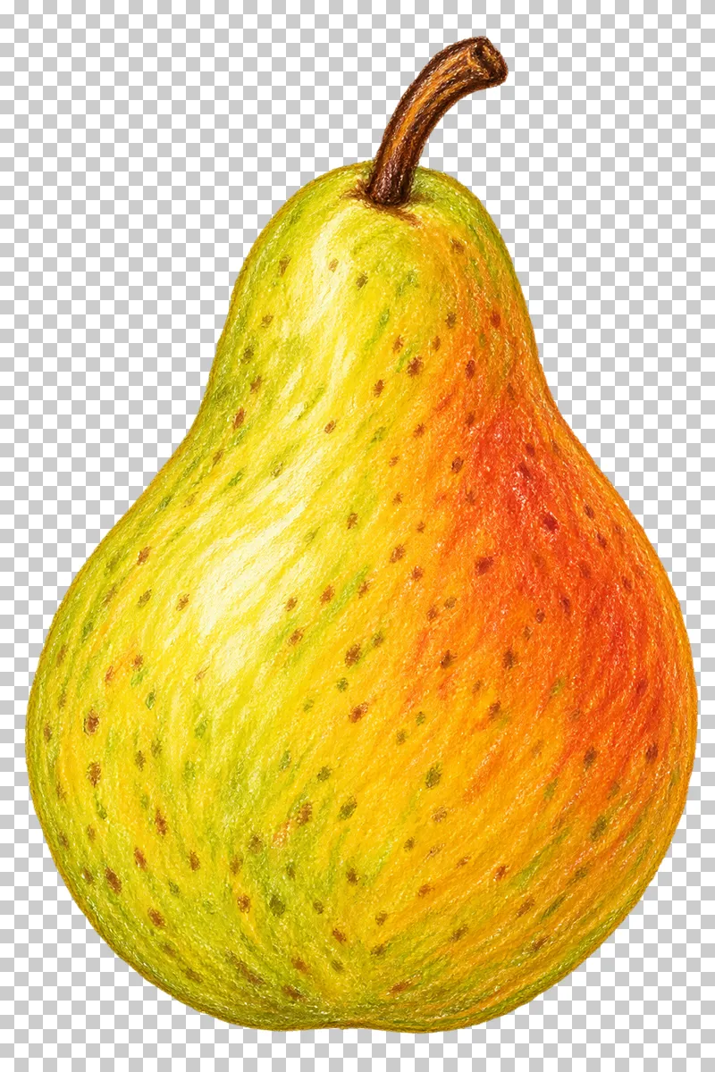 A yellow-green pear with a warm orange blush, small russet marks and a curved brown stem.