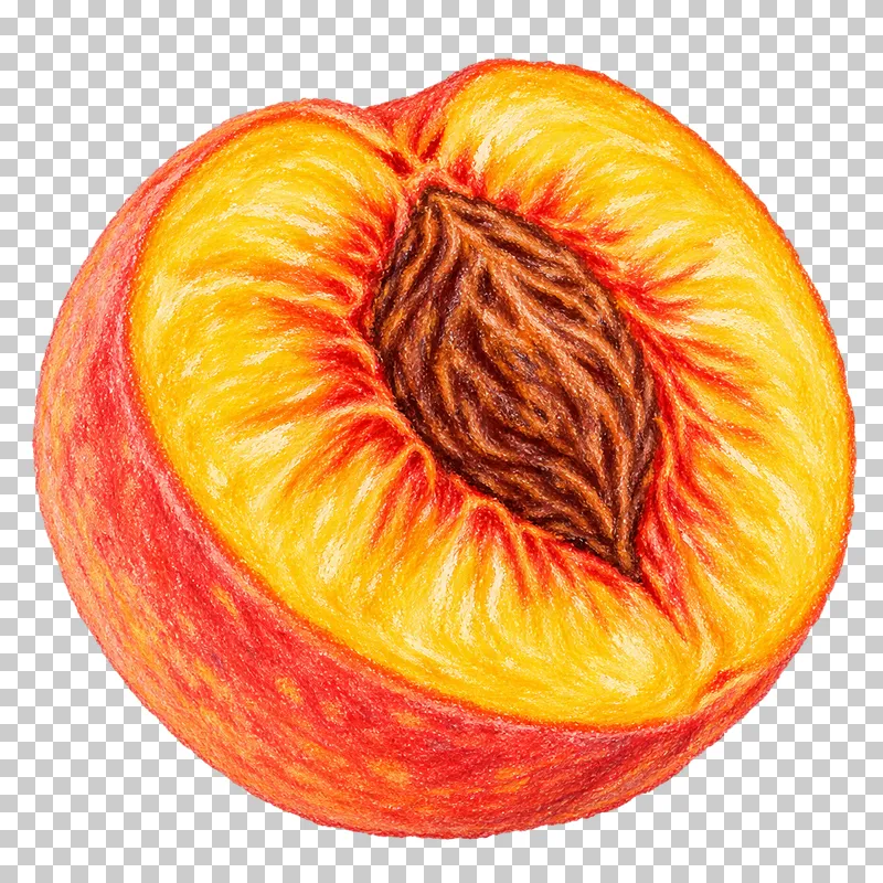 A peach half with golden flesh, a single ridged brown stone and coral-pink skin.