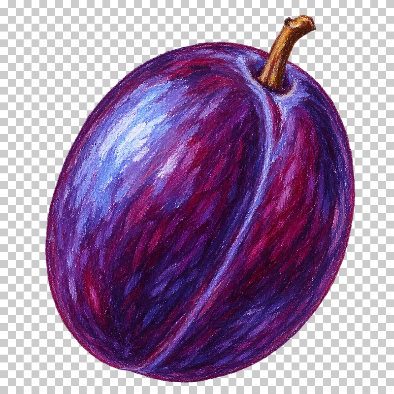 A whole purple plum with a curved seam, pale blue highlights and a short brown stem.