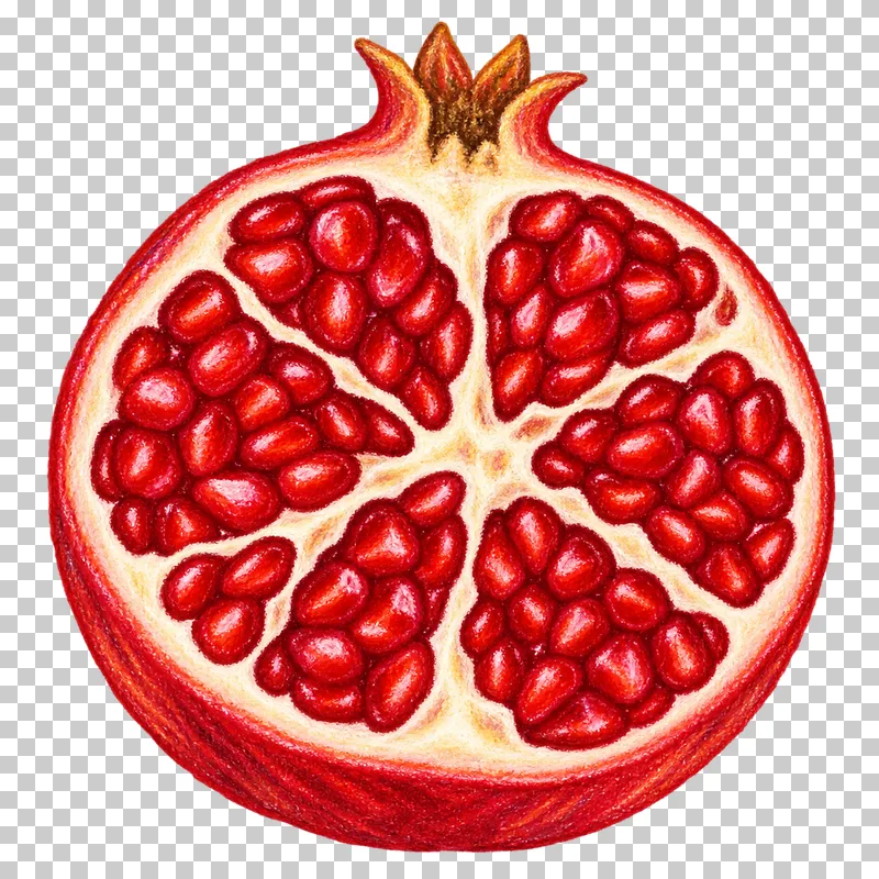 A pomegranate half with ruby red arils, cream seed compartments and an intact crown.