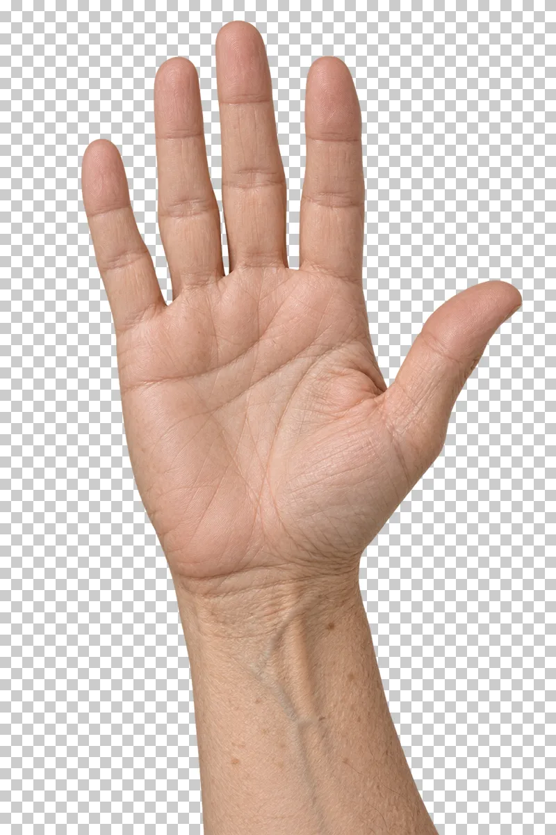 An open adult hand with light skin and fine wrinkles, palm facing forward.