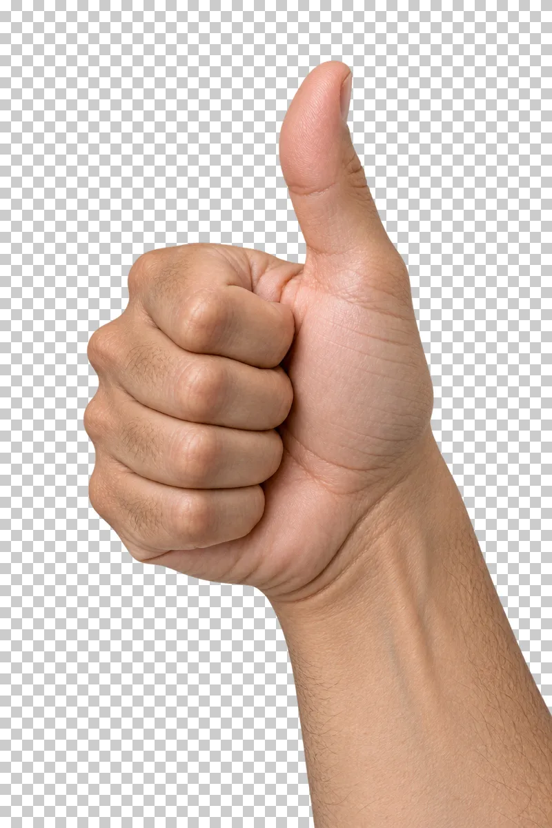 An adult hand giving a thumbs-up gesture with four fingers curled into the palm.