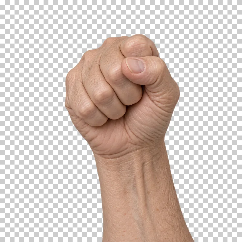 A naturally closed adult fist with the thumb resting across the folded fingers.