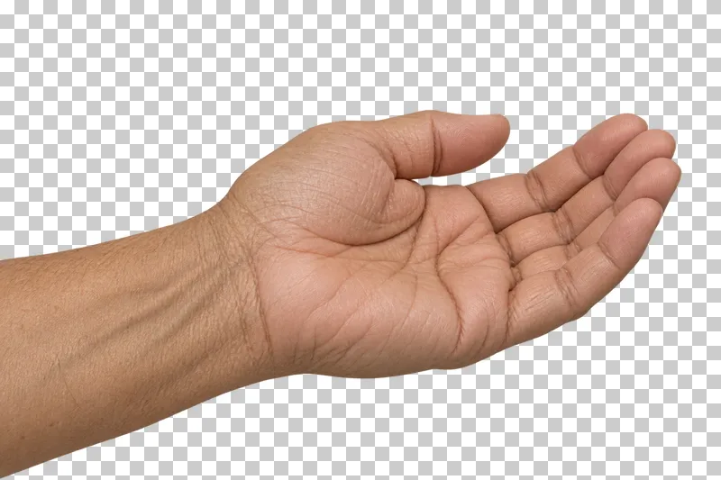 An empty cupped adult hand with the palm facing upward and fingers gently curved.