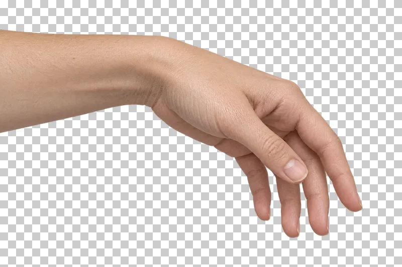 A relaxed adult hand in side view, with fingers hanging in gentle natural curves.