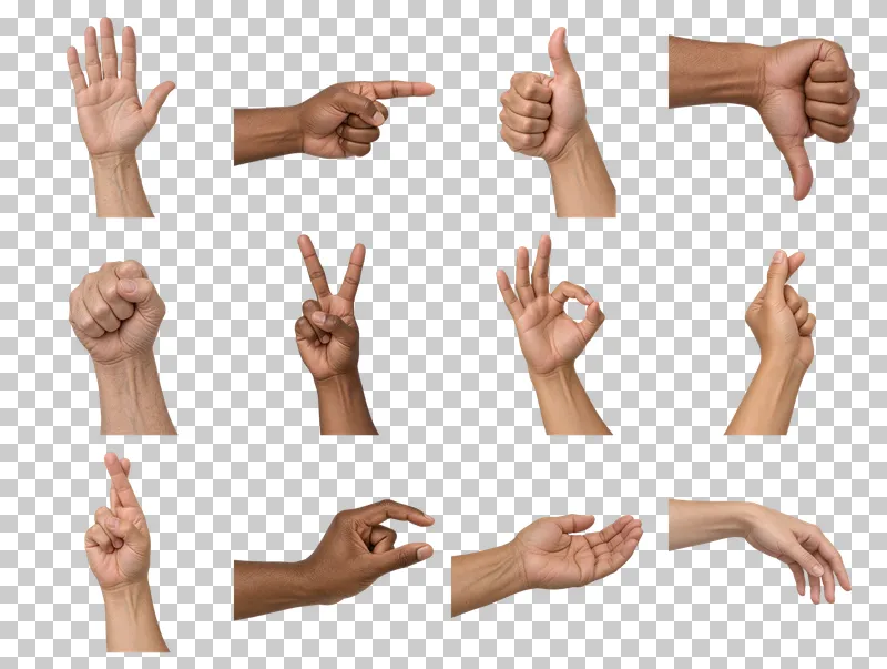 Everyday Hand Gestures PNG Collection: all 12 elements in one grid