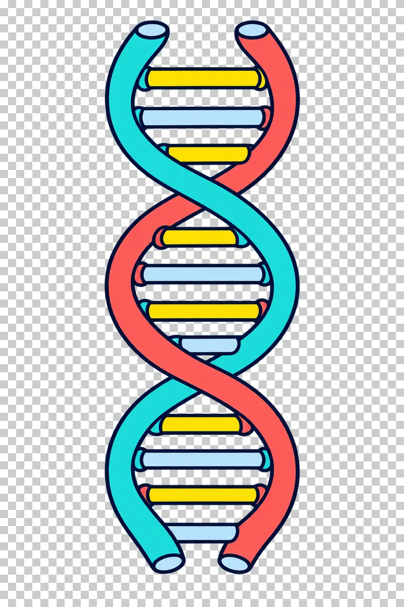 A DNA double helix with turquoise and coral backbone strands connected by yellow and pale-blue rungs.