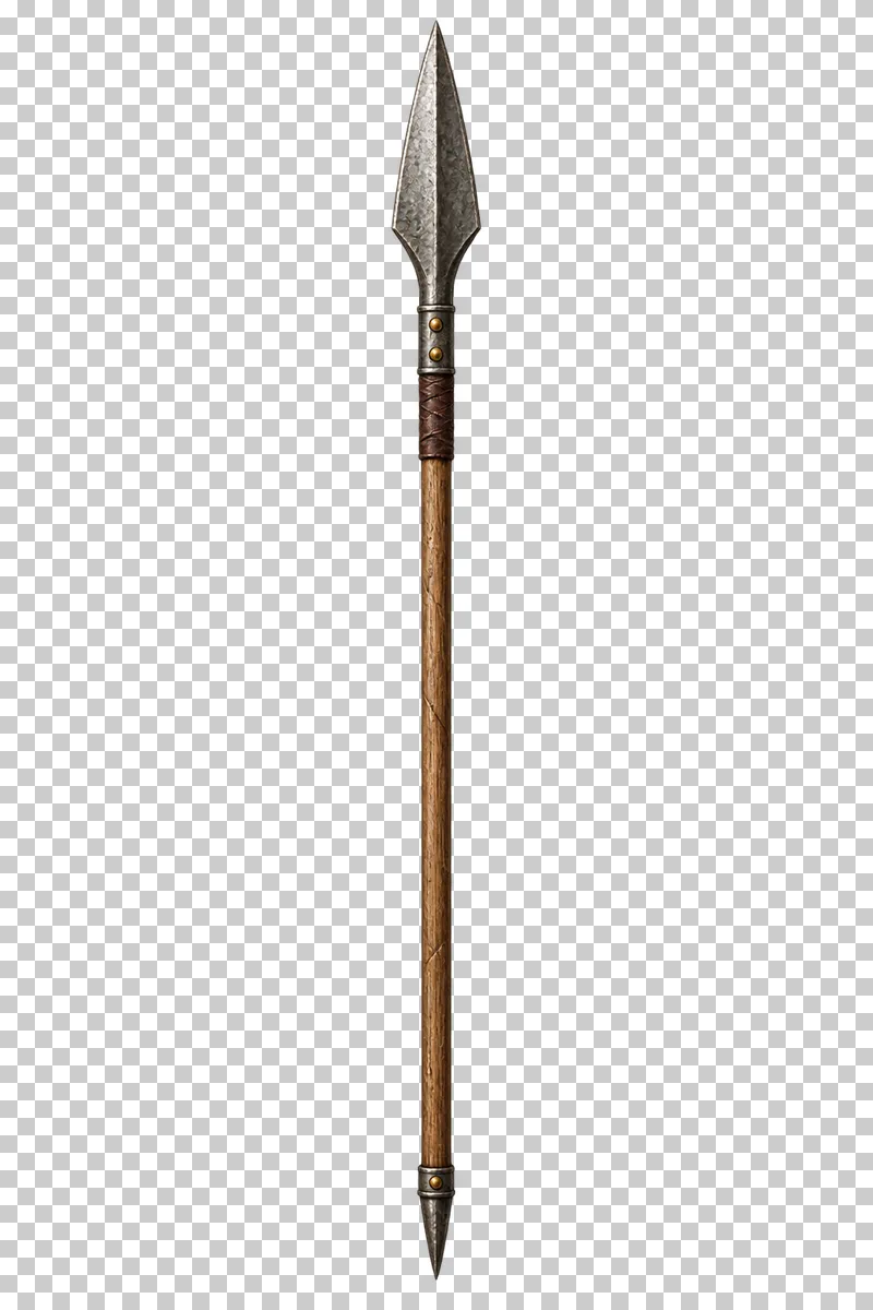 A long wooden spear with a leaf-shaped steel point and a metal butt cap.