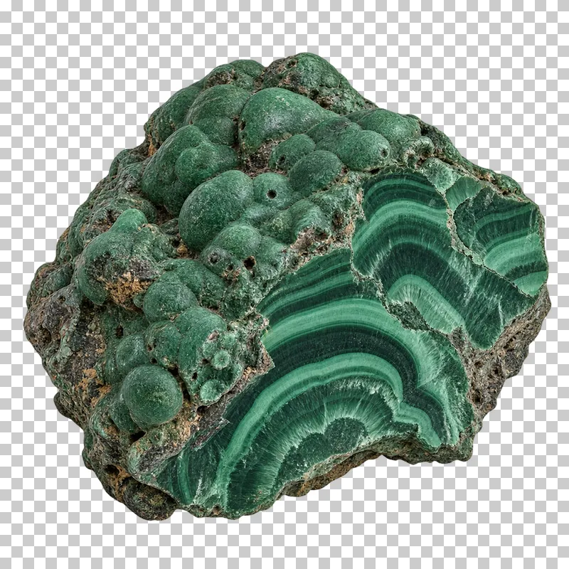 A rough green malachite specimen with rounded growths and curved bands on a fractured face.