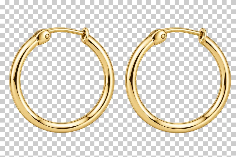 A matching pair of gold hoop earrings with hinged post closures.