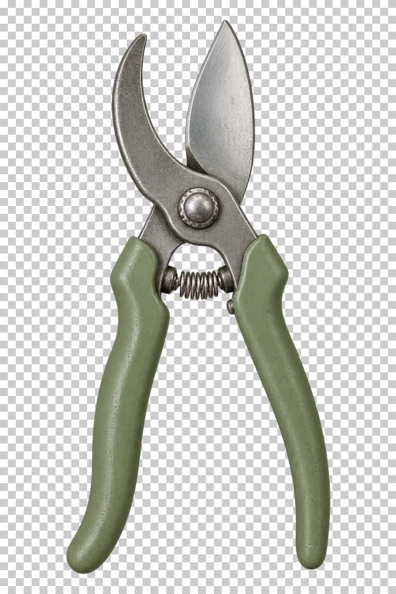 Open bypass pruning shears with sage-green grips, a steel pivot and a return spring.