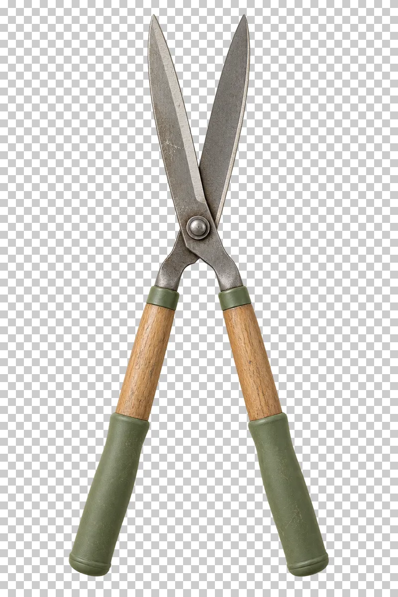 Hedge shears with long steel blades, wooden handles and sage-green grips.