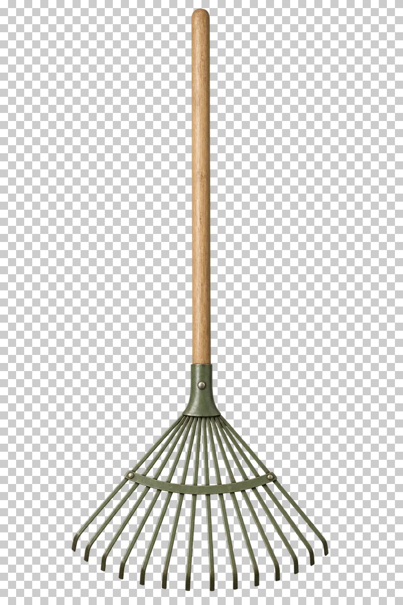A fan rake with a full wooden shaft and separate metal spring tines.