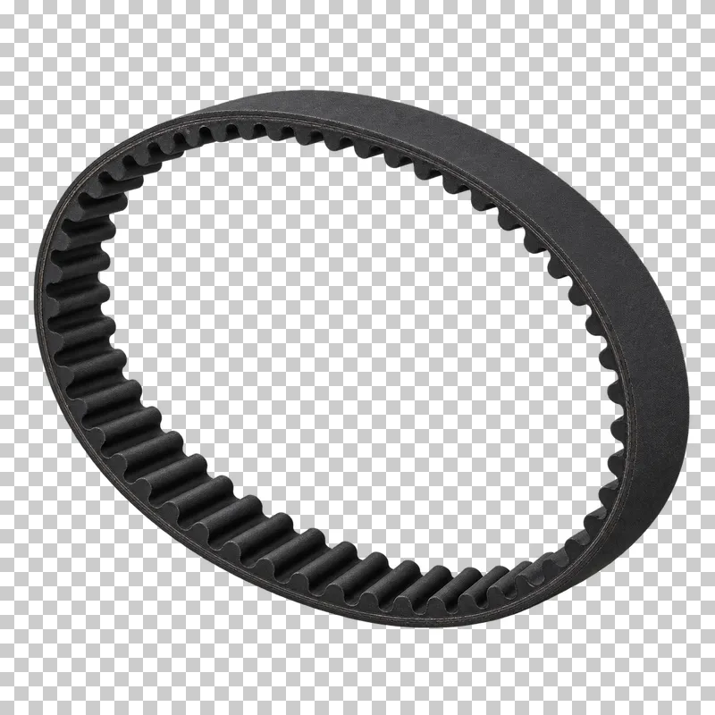 A continuous black timing belt loop with regularly spaced teeth on its inner surface.