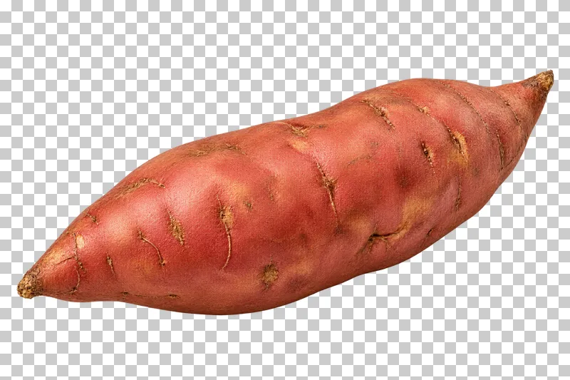 An elongated sweet potato with textured reddish skin.