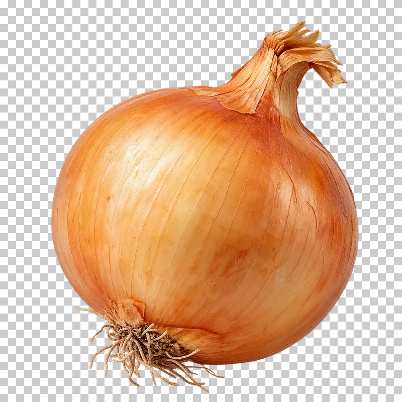 A whole yellow onion with papery golden skin and fine roots.