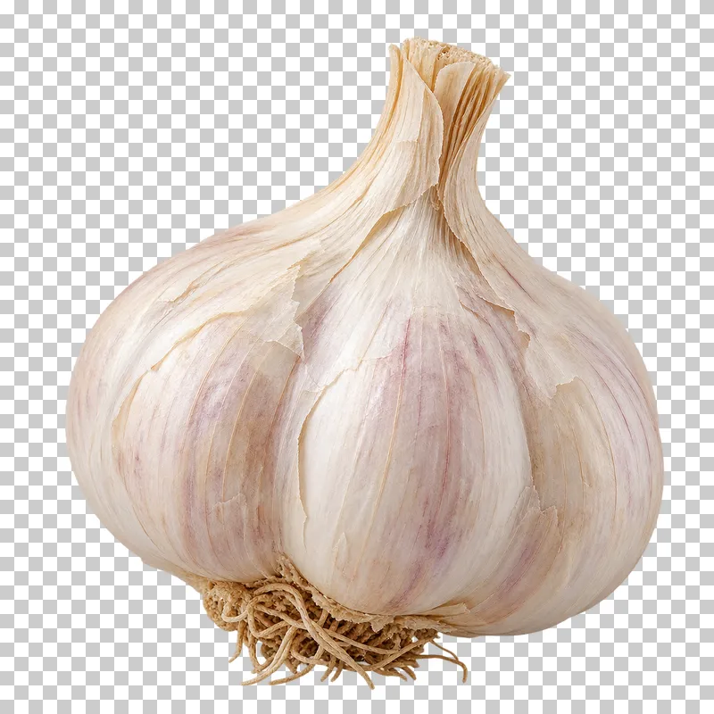 A whole garlic bulb with papery skin and rounded clove contours.