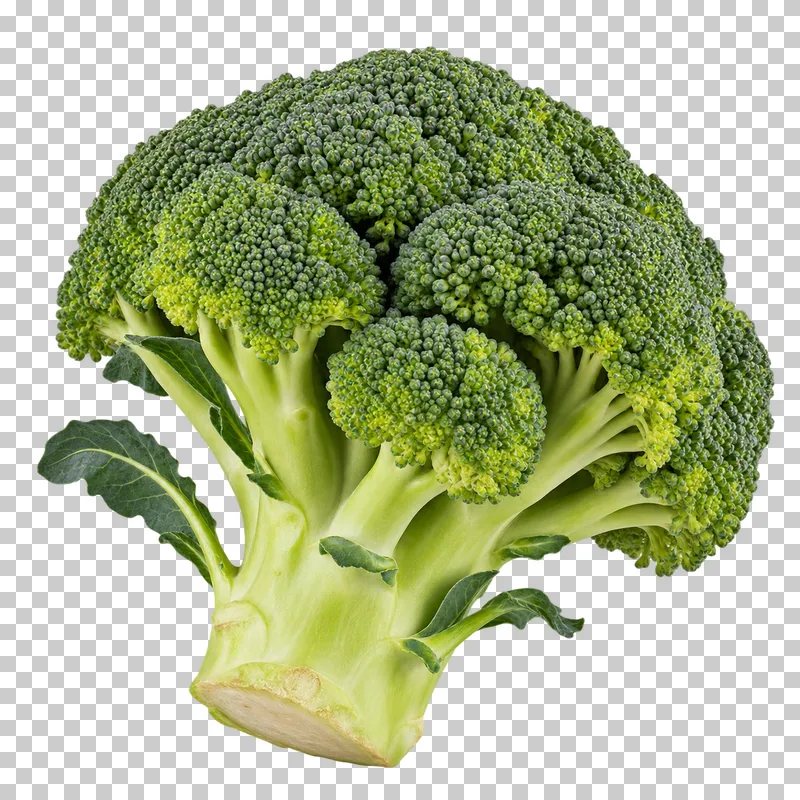 A green broccoli head with branching stalks and dense florets.