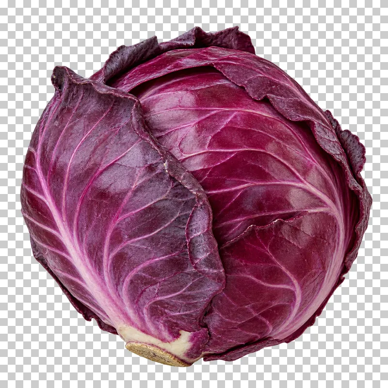 A whole red cabbage with layered purple leaves and visible veins.