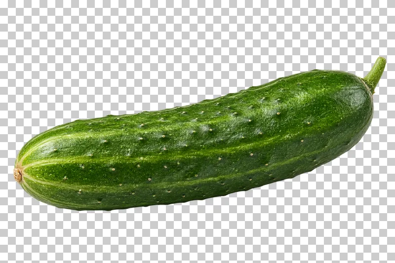 A whole green cucumber with textured skin.