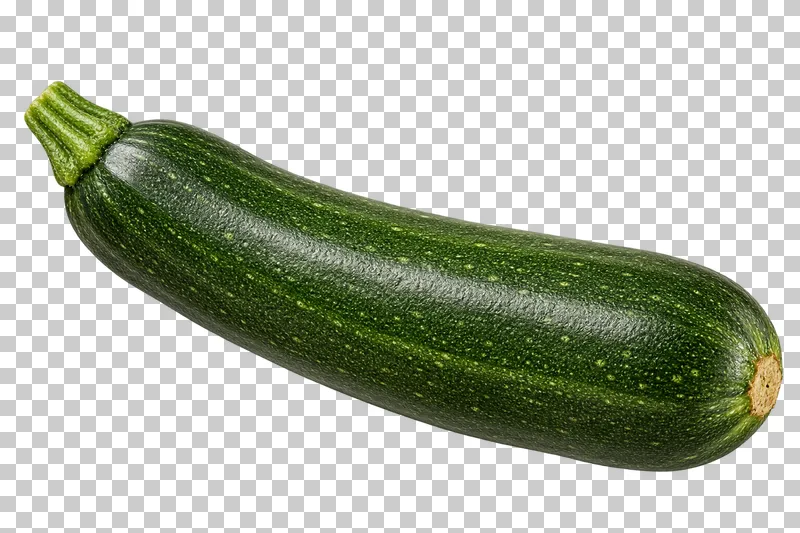 A whole green zucchini with an attached stem.
