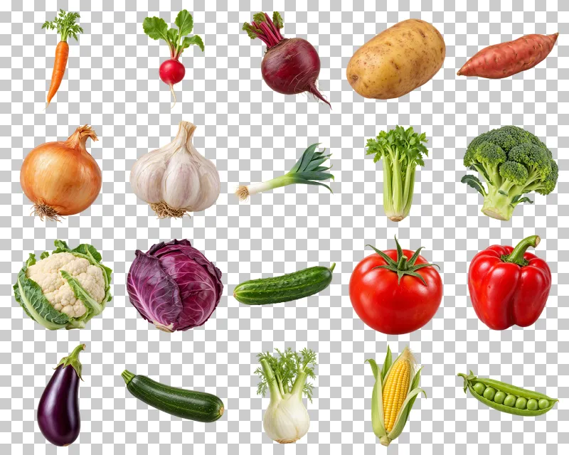 Fresh Vegetables Photo PNG Collection: all 20 elements in one grid