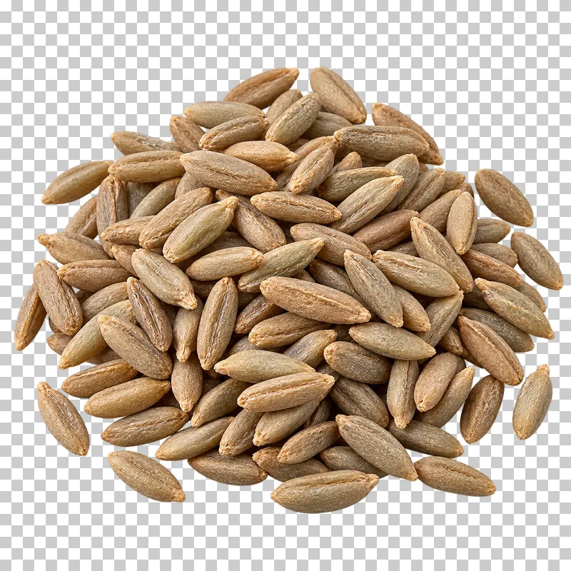 A compact portion of rye grains with narrow gray-brown kernels and lengthwise grooves.
