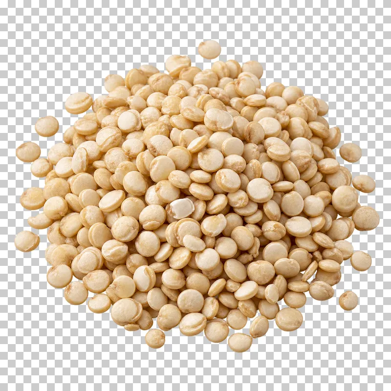 A small mound of ivory quinoa with flattened grains and visible pale germ rims.