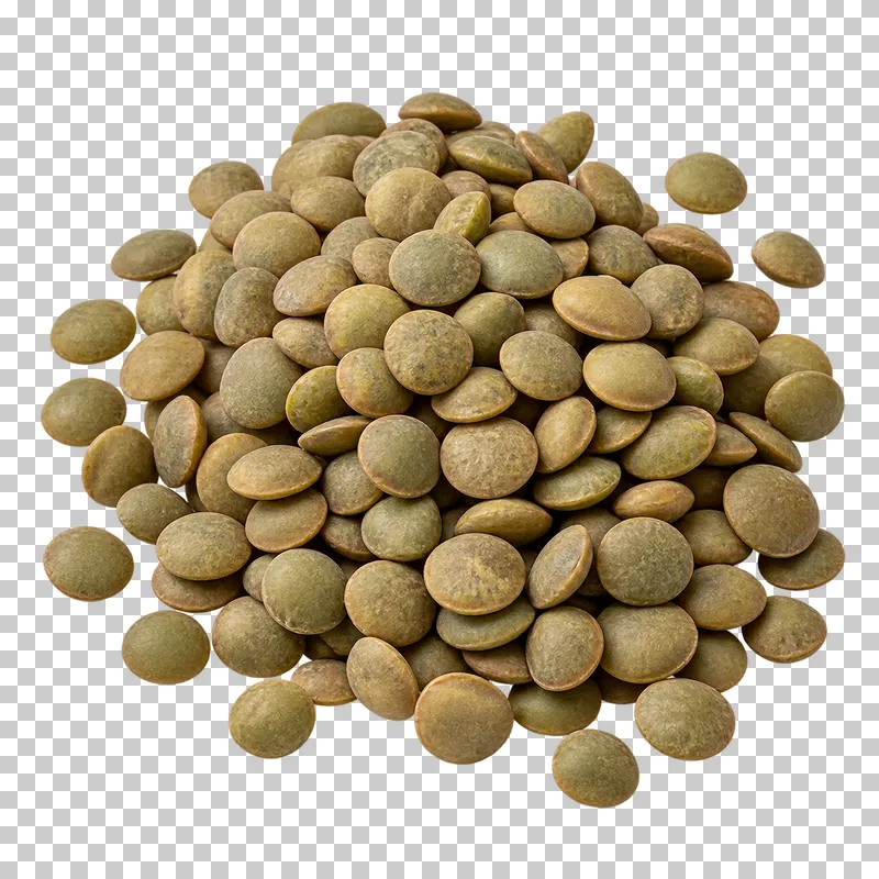A small mound of green lentils with rounded flat seeds in muted olive and brown shades.