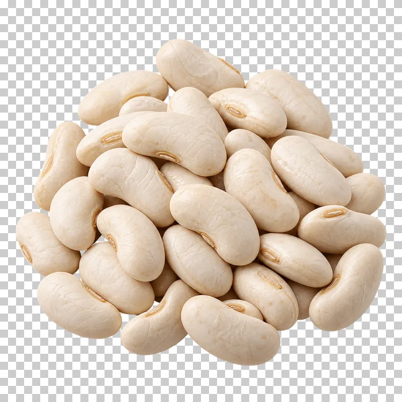 A compact portion of white beans with ivory kidney-shaped forms and dry textured skins.