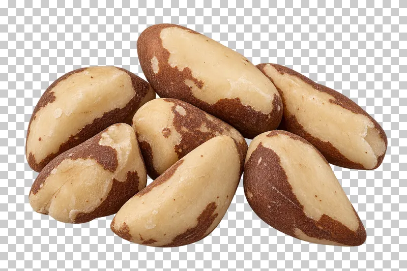 A small group of Brazil nuts with angular pale kernels and irregular brown skin patches.